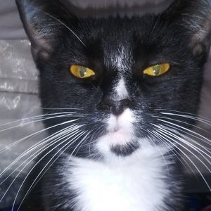 Meet your Posher, Rodney